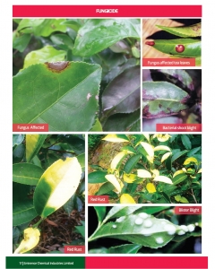 Fungicide Affected